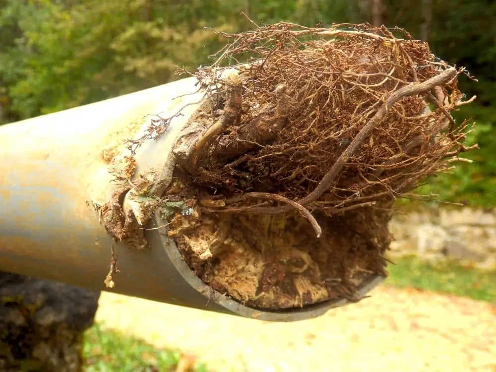 Diagnostic racines dans canalisation Val-d'Oise